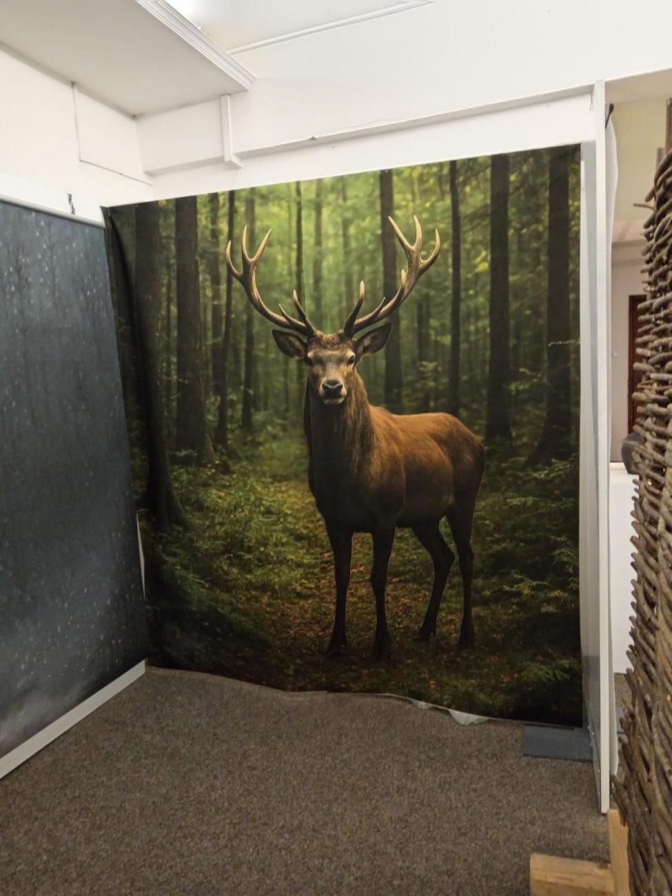 4.B v Muzeu Vysočiny – Keltové na periferii