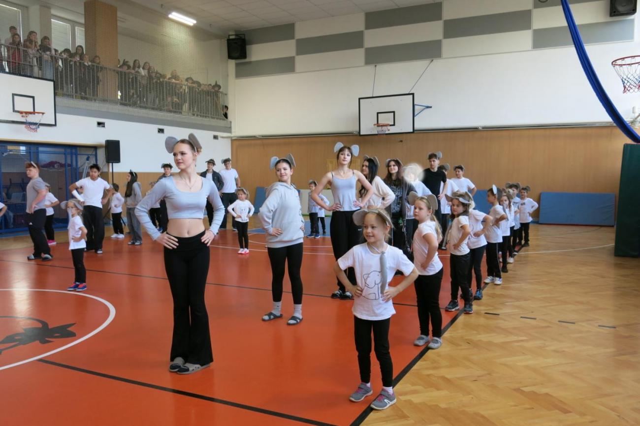 Vystoupení v tělocvičně v rámci 32. Veletrhu zdraví