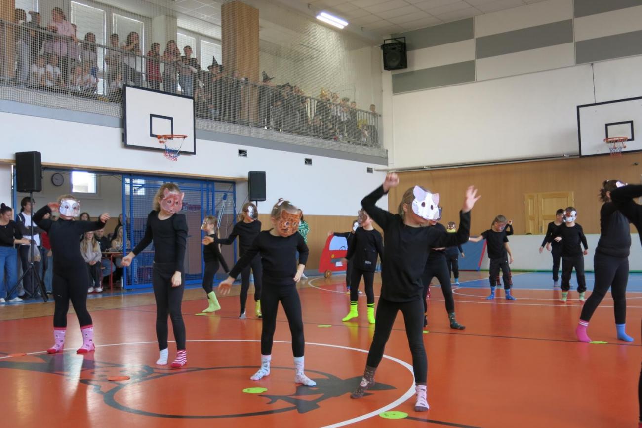 Vystoupení v tělocvičně v rámci 32. Veletrhu zdraví