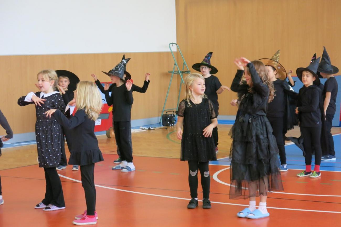 Vystoupení v tělocvičně v rámci 32. Veletrhu zdraví