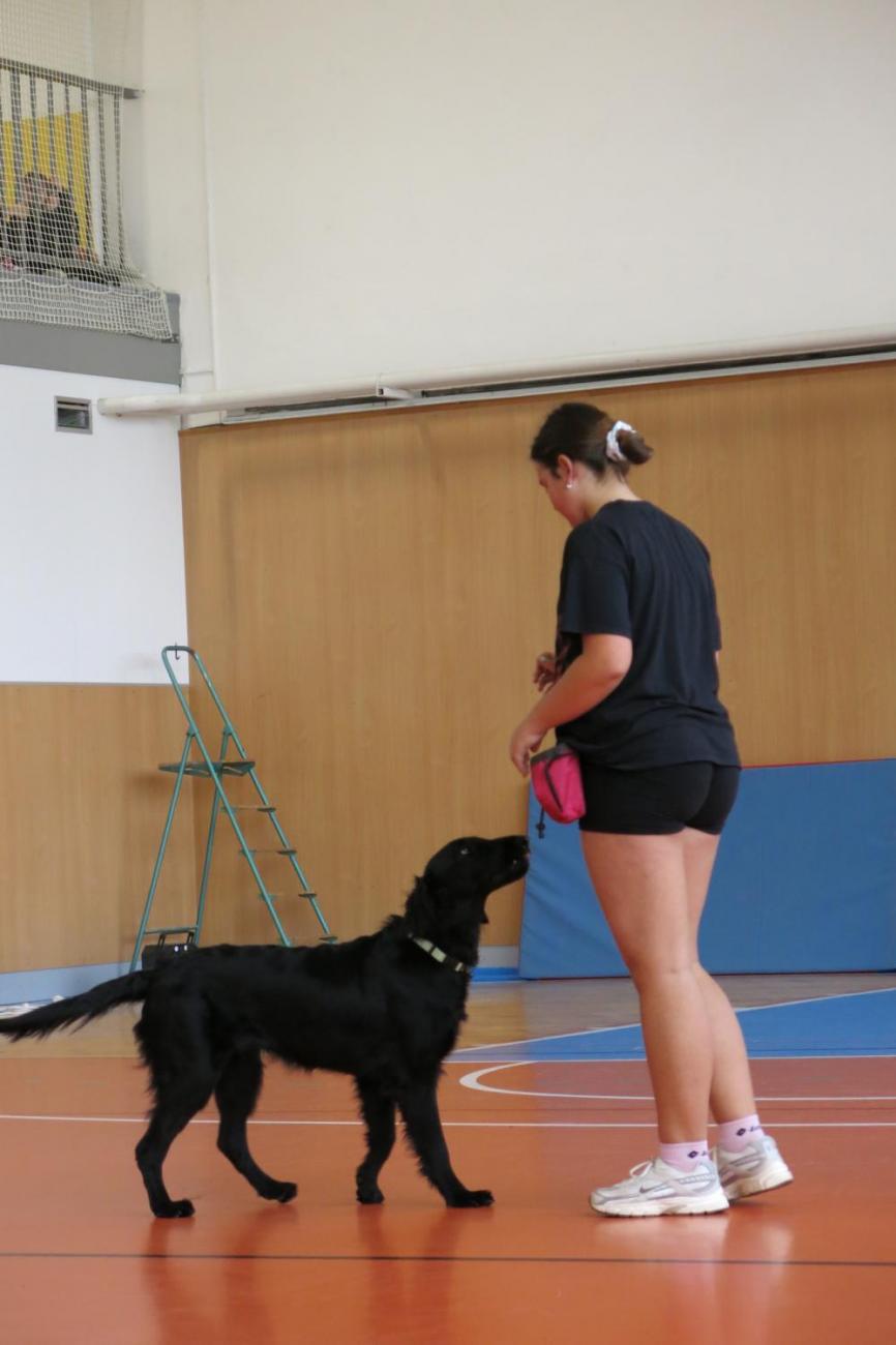 Vystoupení v tělocvičně v rámci 32. Veletrhu zdraví