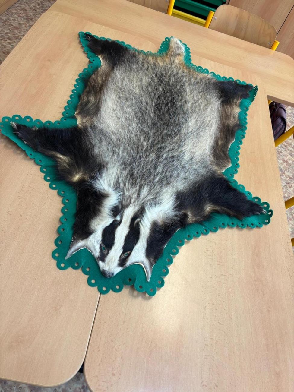 Veletrh zdraví u druháčků