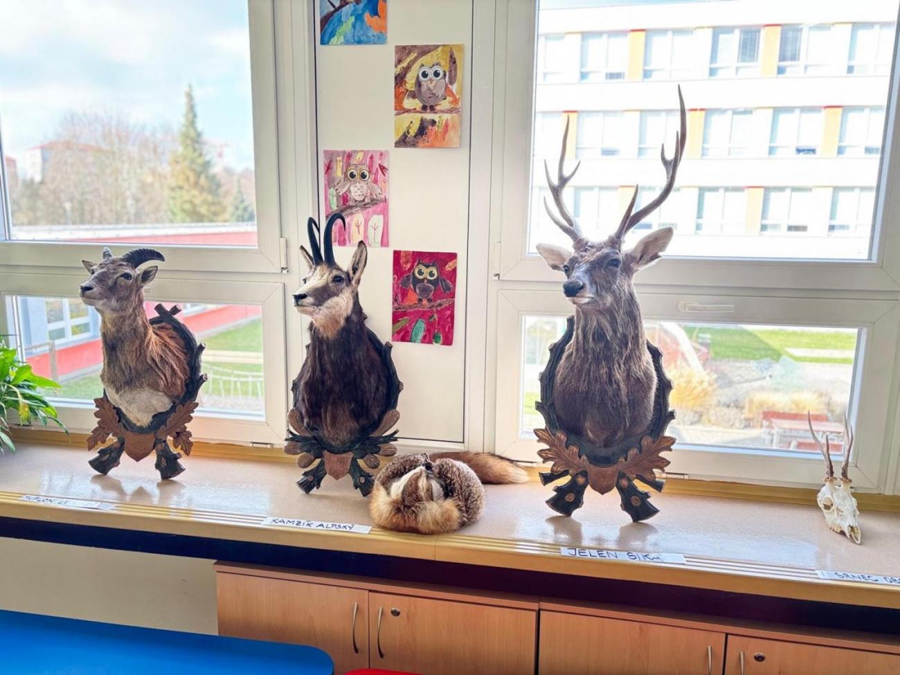 Veletrh zdraví u druháčků