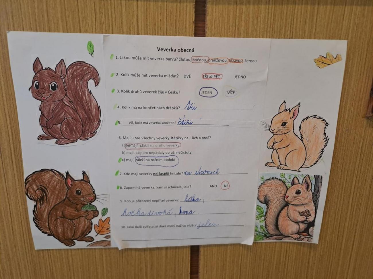 Veletrh zdraví u druháčků