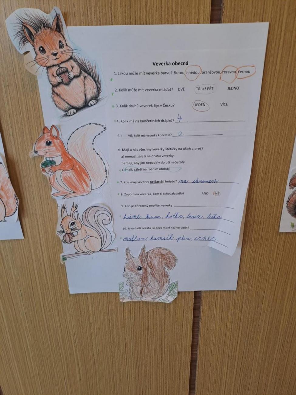 Veletrh zdraví u druháčků