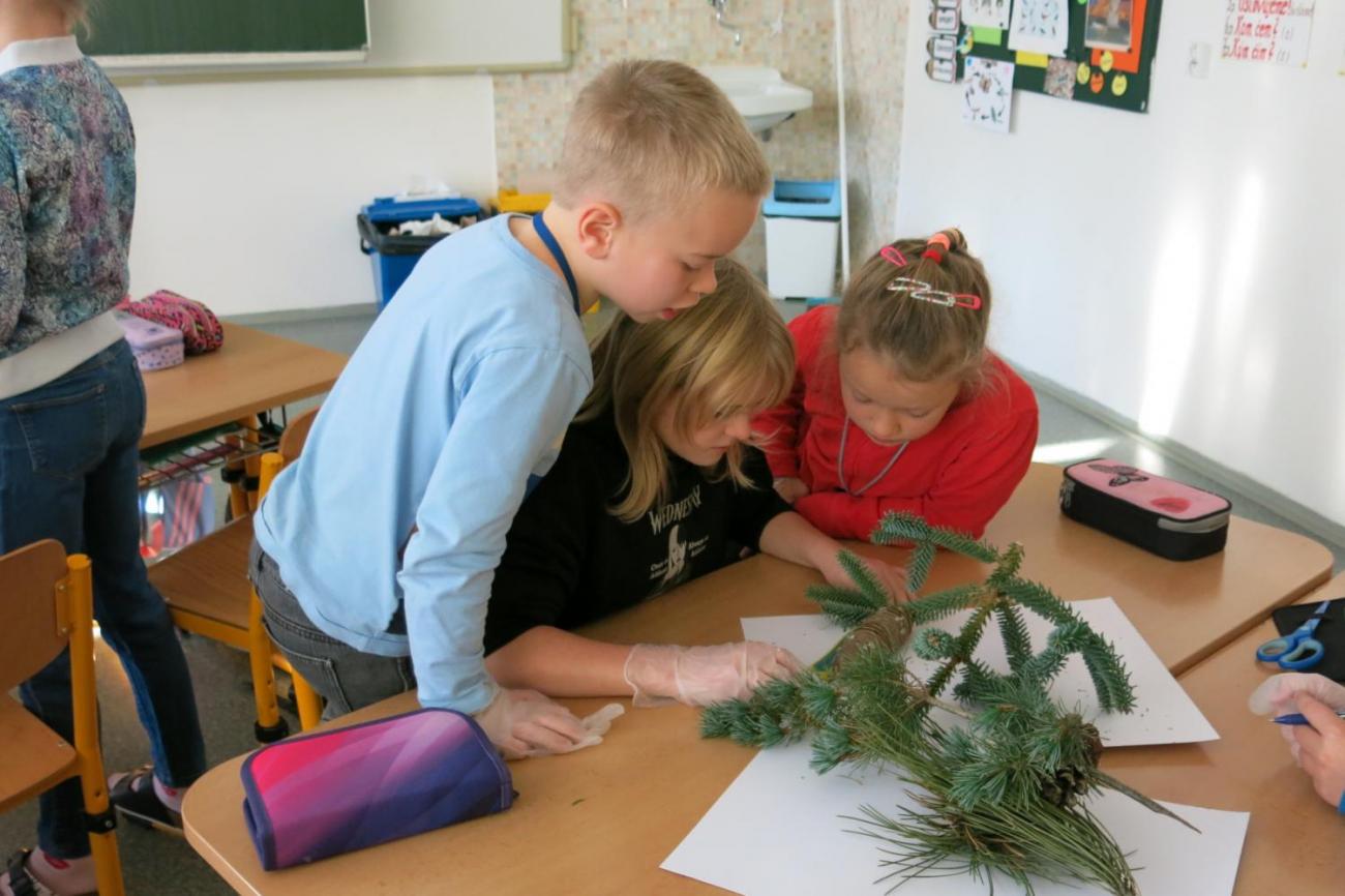 Veletrhu zdraví – badatelské aktivity 3. ročníkuVeletrhu zdraví – badatelské aktivity 3. ročníku