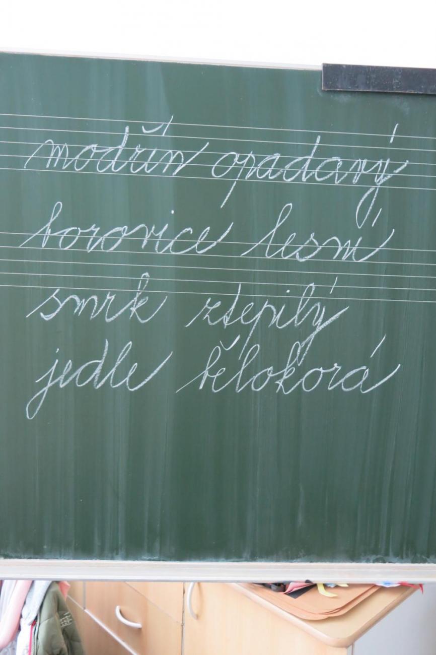 Veletrhu zdraví – badatelské aktivity 3. ročníku