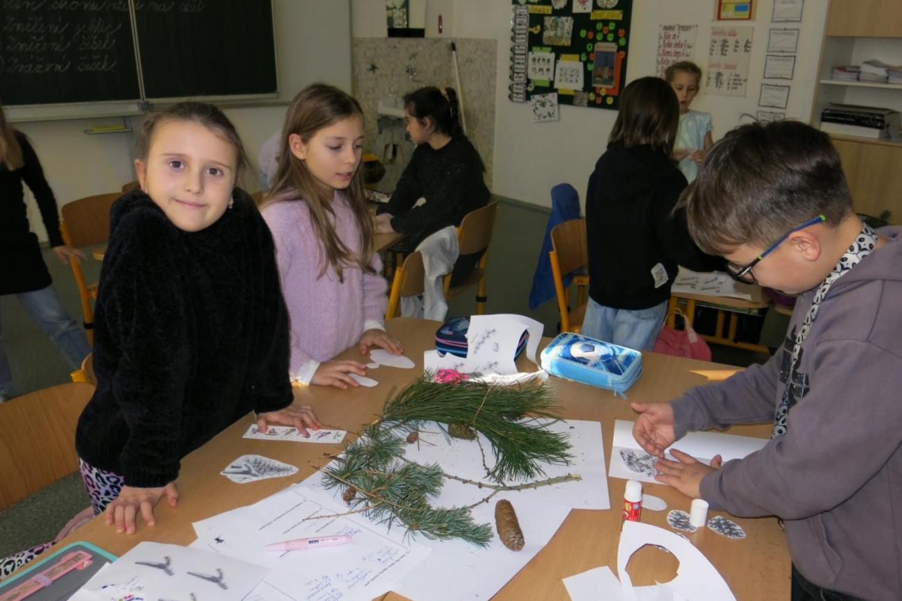 Veletrhu zdraví – badatelské aktivity 3. ročníku