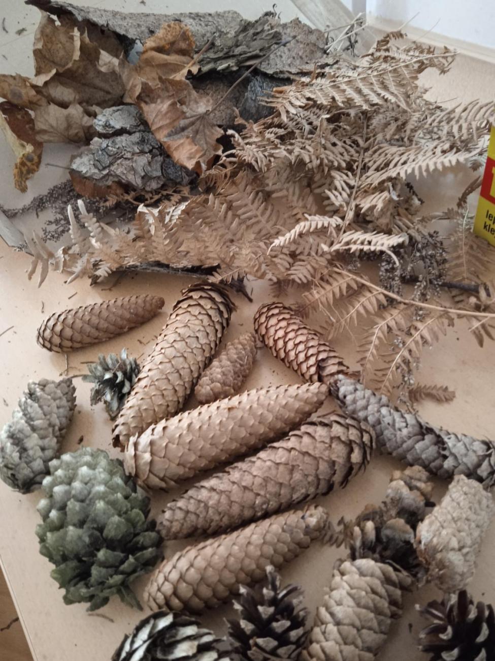 Veletrh zdraví - badatelská dílna: Tajemství figurek z betlémů v Třešti