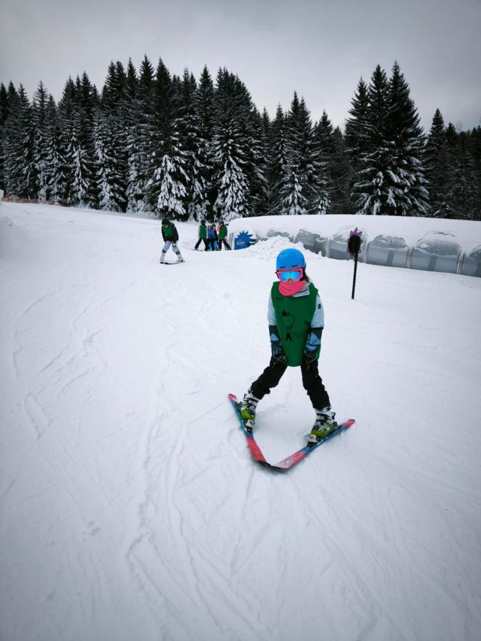 LVK 5.A a 5.C - Šumava