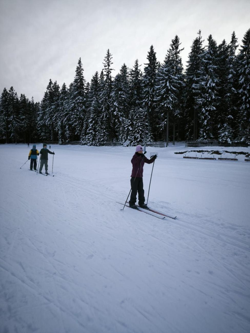LVK 5.A a 5.C - Šumava