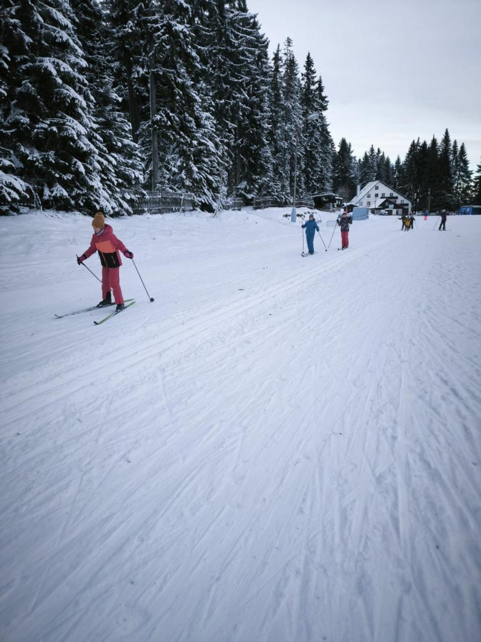 LVK 5.A a 5.C - Šumava