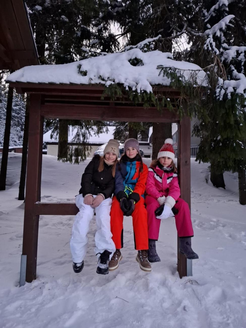 LVK 5.A a 5.C - Šumava