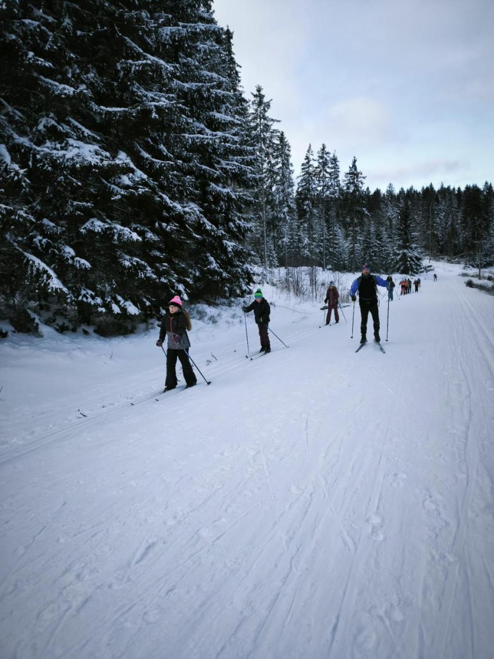 LVK 5.A a 5.C - Šumava