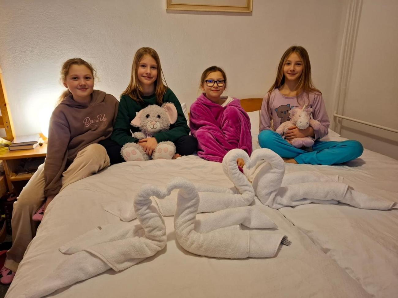 LVK 5.A a 5.C - Šumava