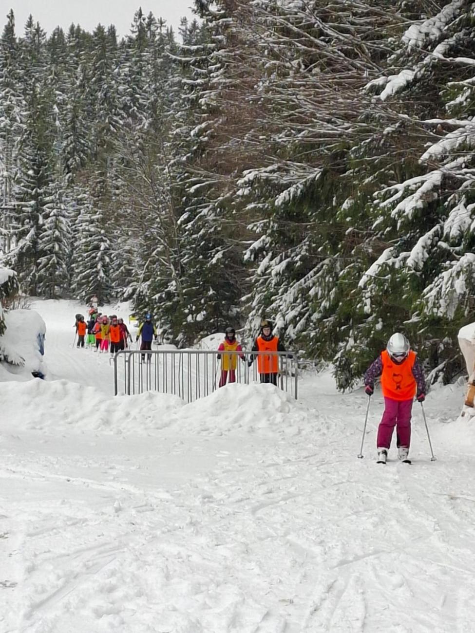 LVK 5.A a 5.C - Šumava