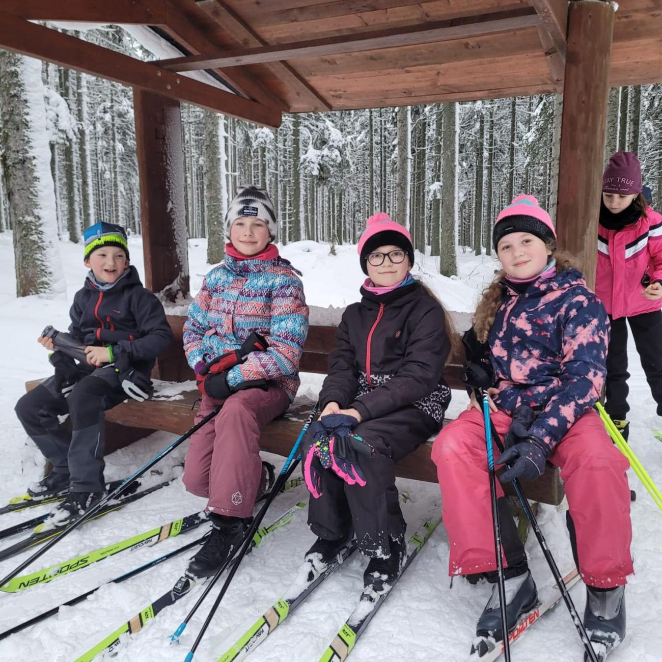 LVK 5.A a 5.C - Šumava