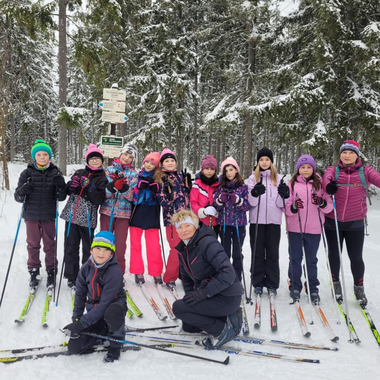 LVK 5.A a 5.C - Šumava