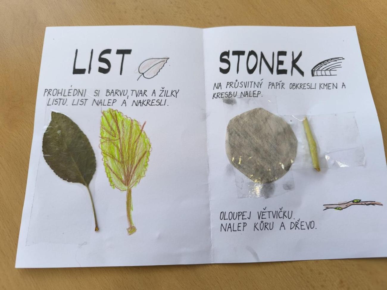 Od semínka k moštu 1.A