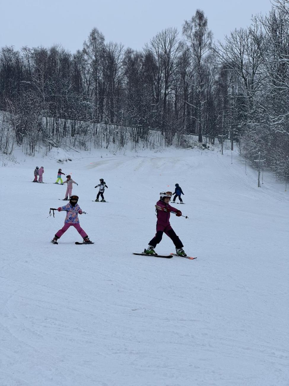 Den plný lyžování