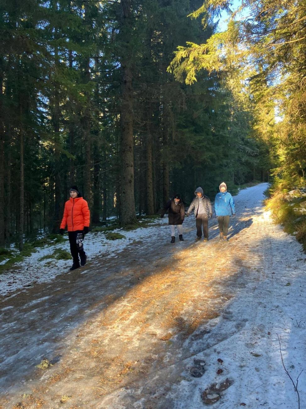 LVK Zadov očima žáků 7.D