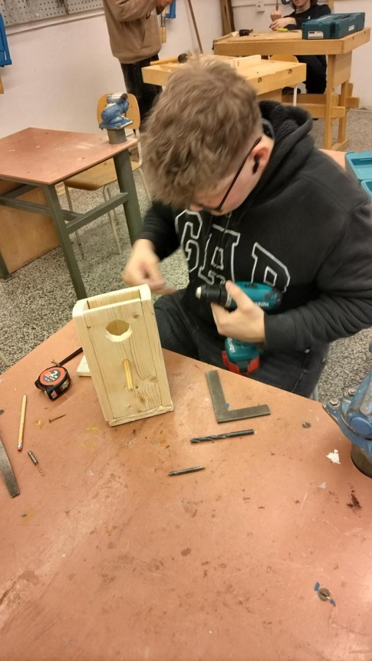 Vyrábíme krmítka i ptačí budky