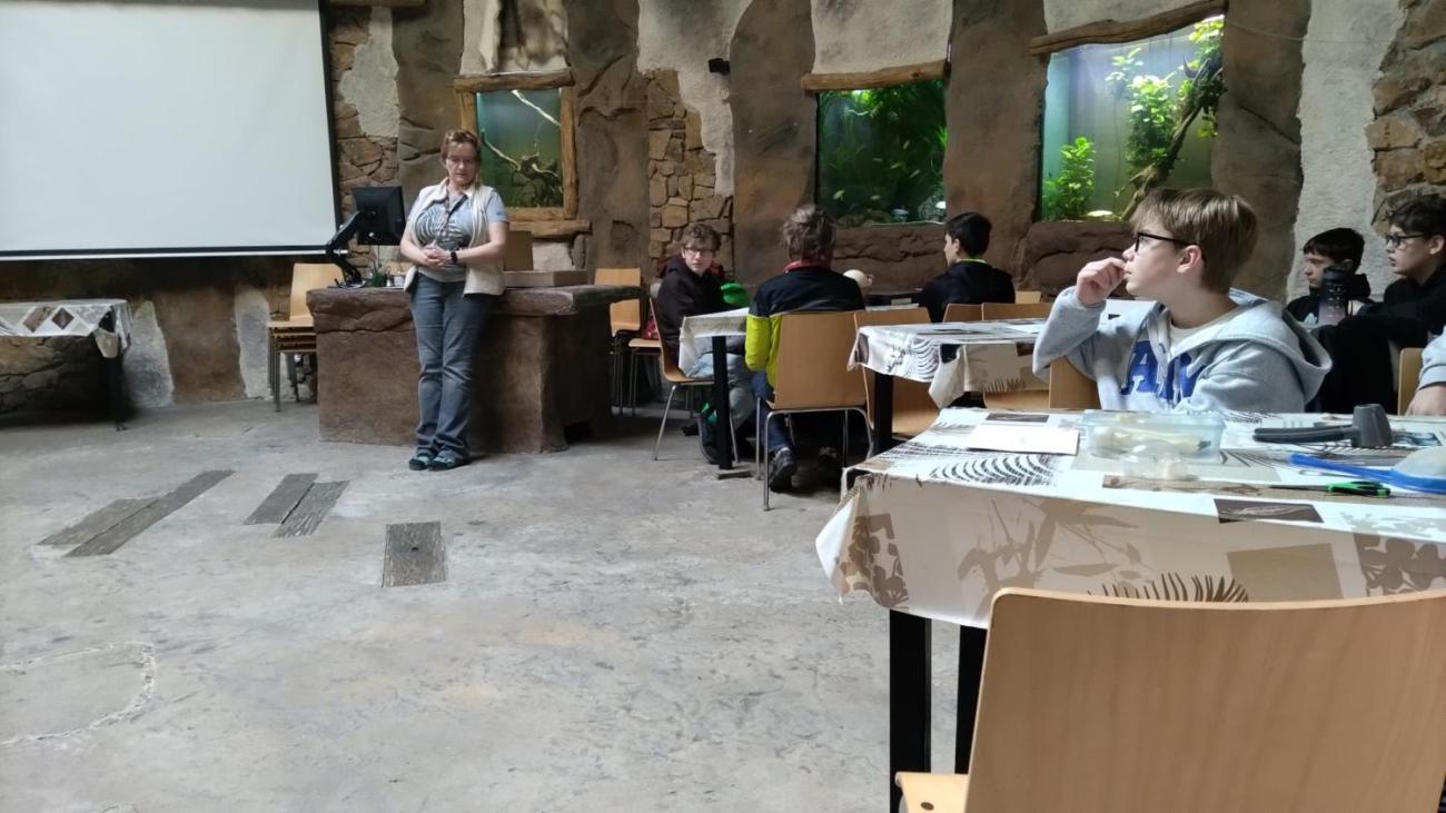 Ptačí svět – vzdělávací program v ZOO Jihlava