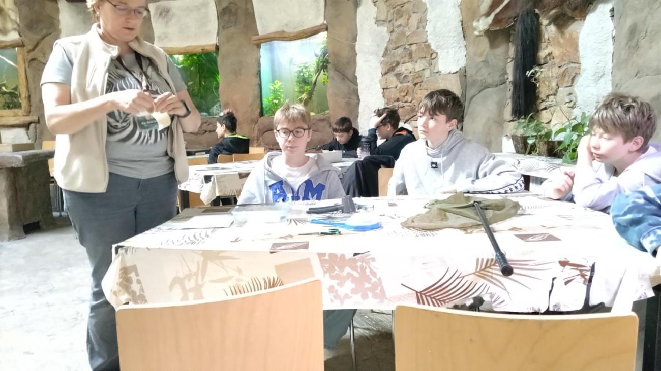 Ptačí svět – vzdělávací program v ZOO Jihlava