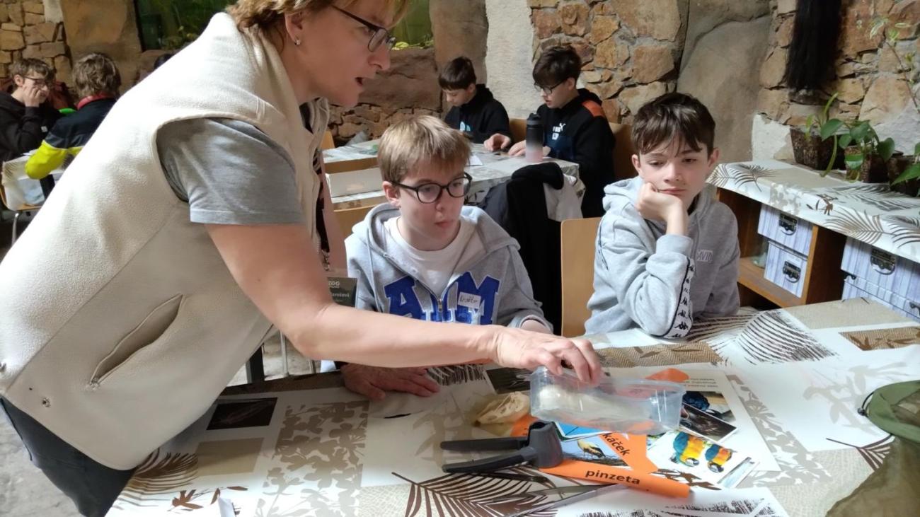 Ptačí svět – vzdělávací program v ZOO Jihlava