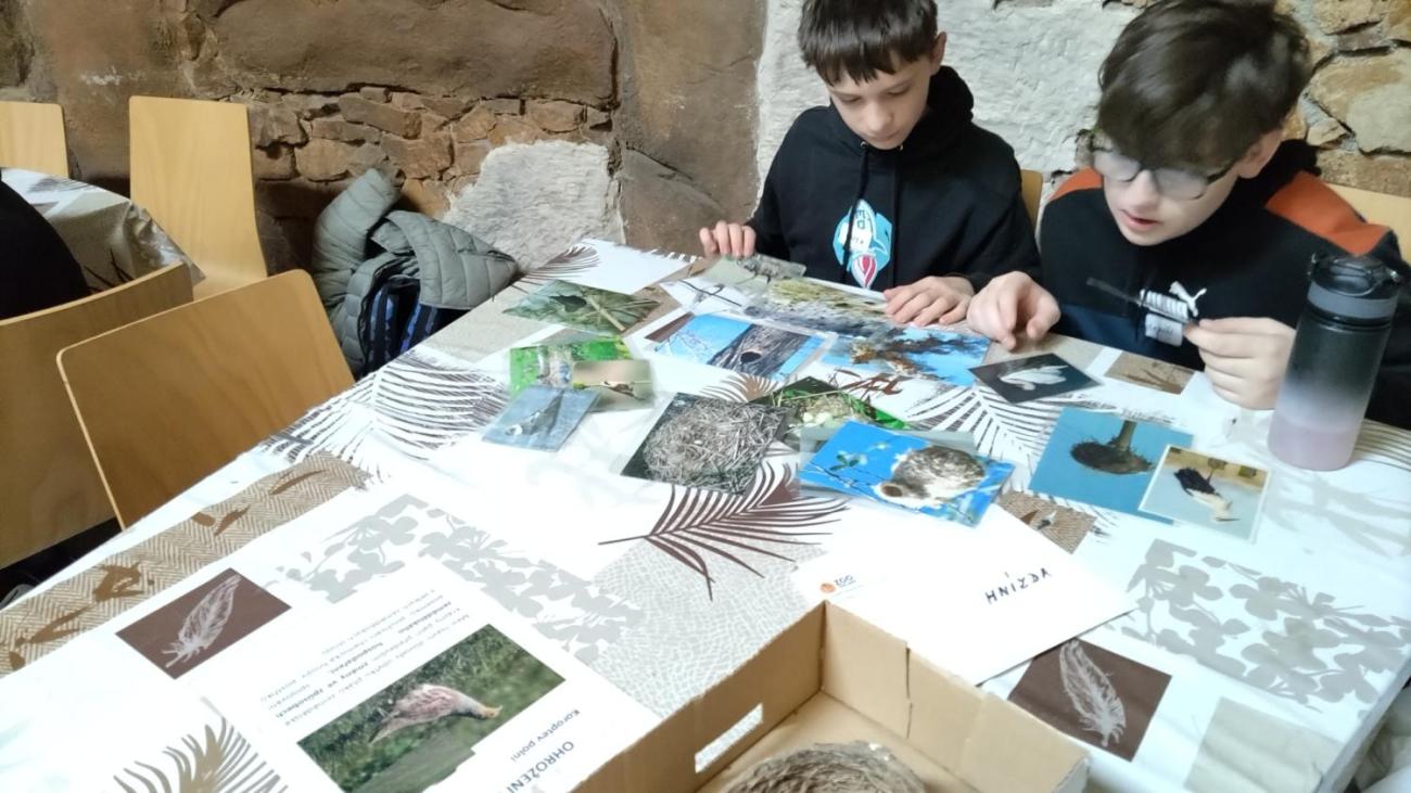 Ptačí svět – vzdělávací program v ZOO Jihlava