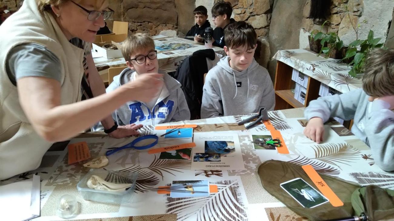 Ptačí svět – vzdělávací program v ZOO Jihlava