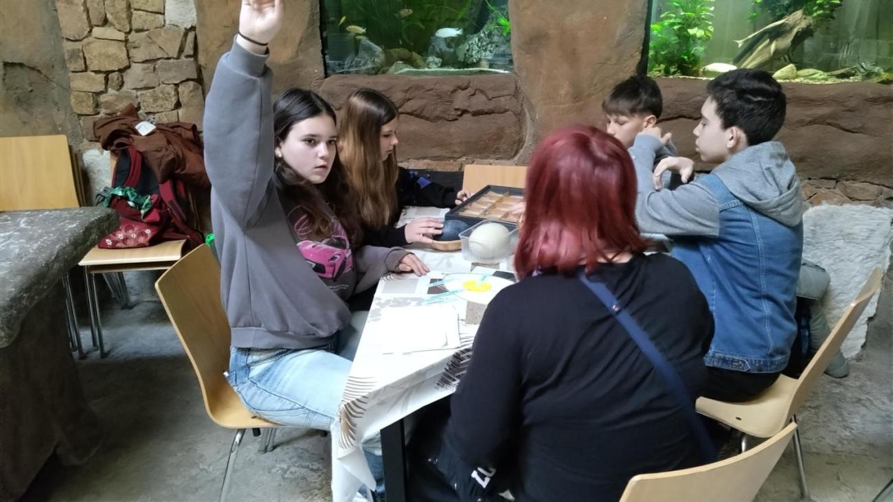 Ptačí svět – vzdělávací program v ZOO Jihlava