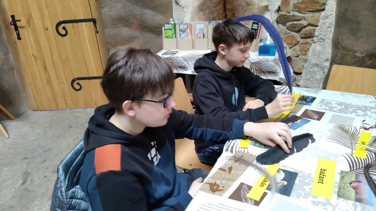 Ptačí svět – vzdělávací program v ZOO Jihlava