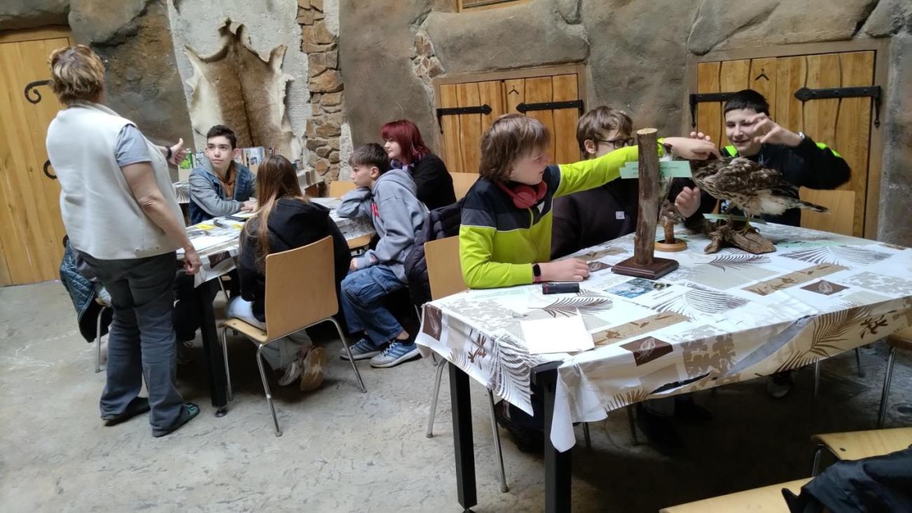 Ptačí svět – vzdělávací program v ZOO Jihlava