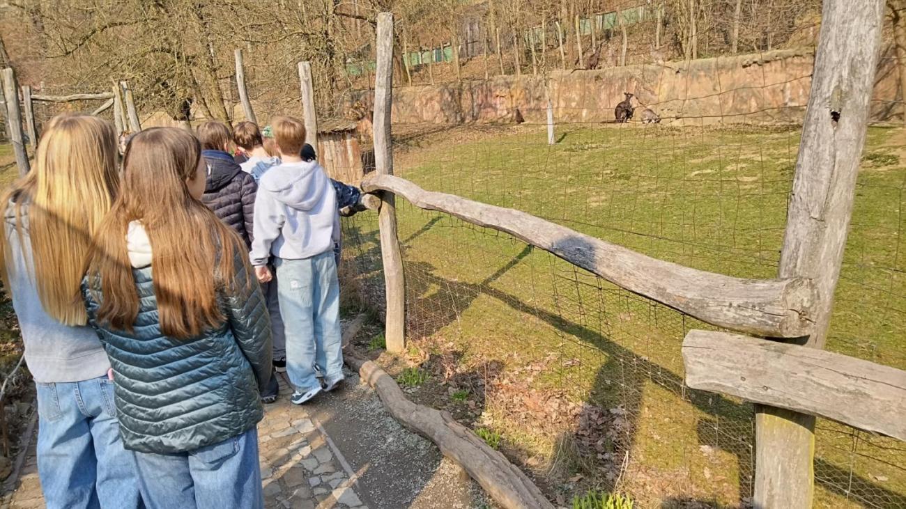 Ptačí svět – vzdělávací program v ZOO Jihlava