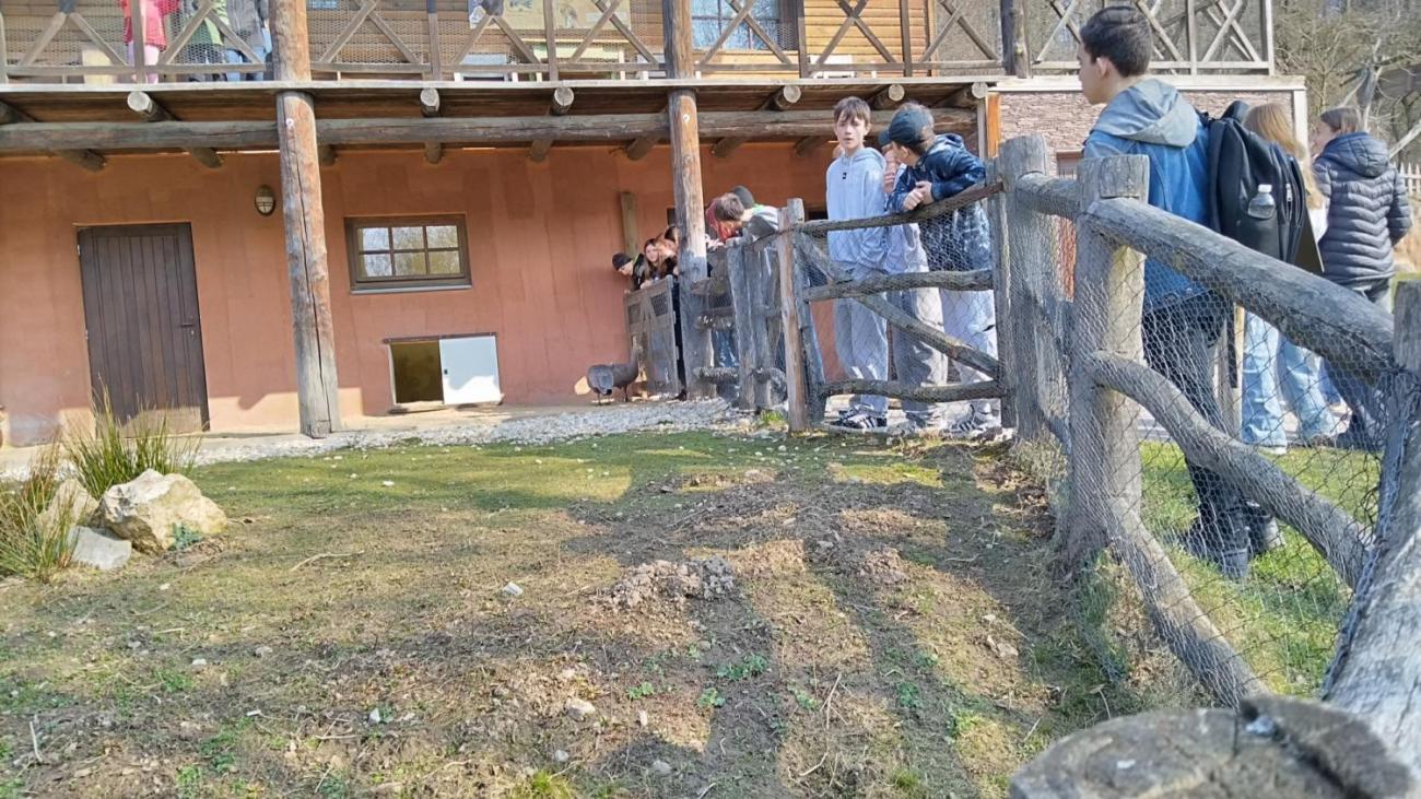 Ptačí svět – vzdělávací program v ZOO Jihlava