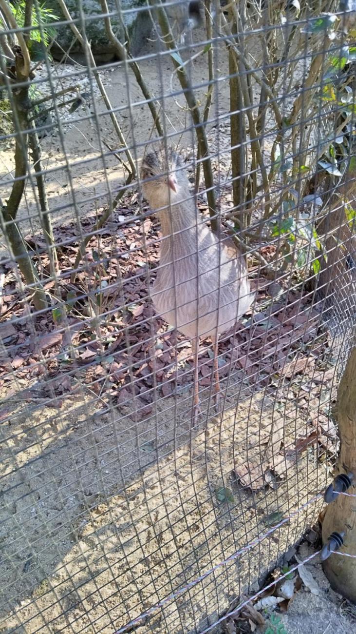 Ptačí svět – vzdělávací program v ZOO Jihlava