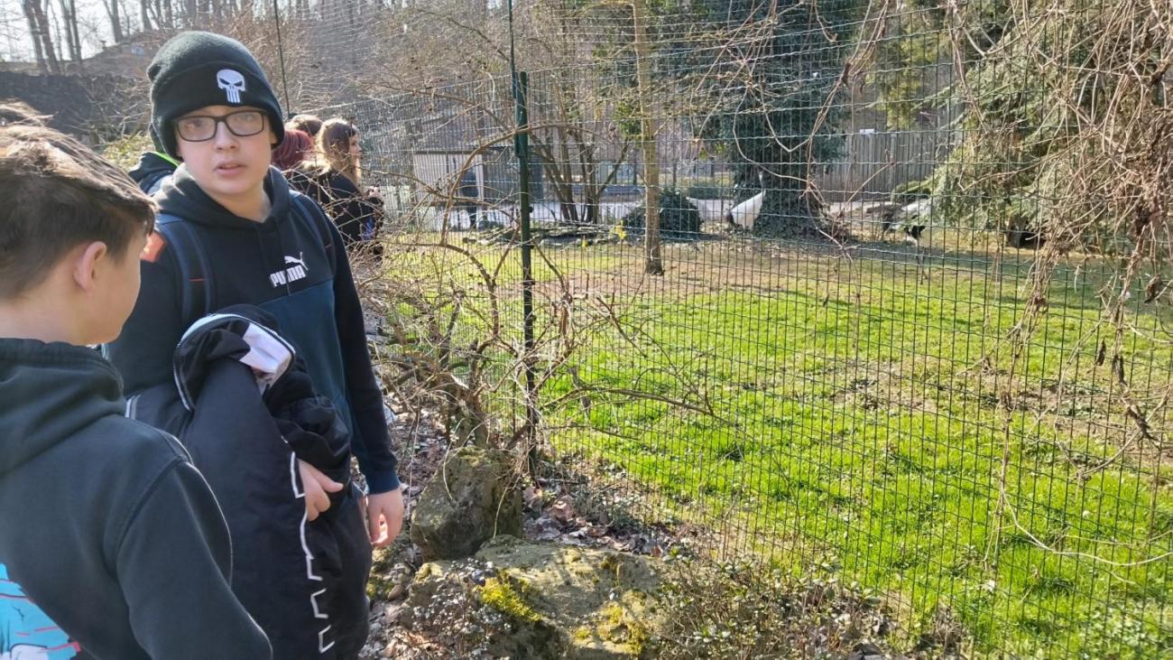 Ptačí svět – vzdělávací program v ZOO Jihlava