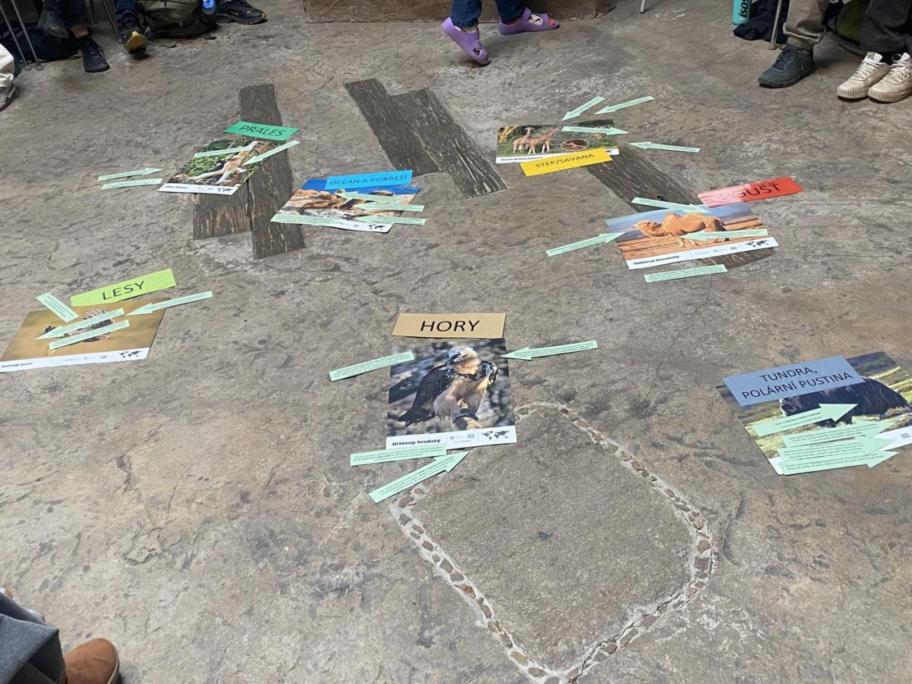 Návštěva 5.C v ZOO Jihlava