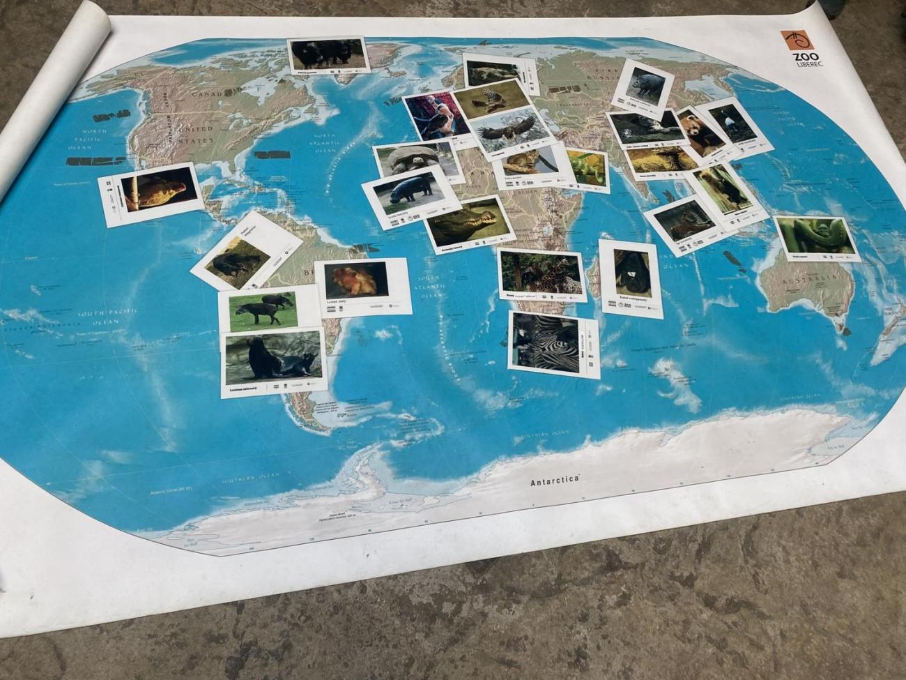 Návštěva 5.C v ZOO Jihlava