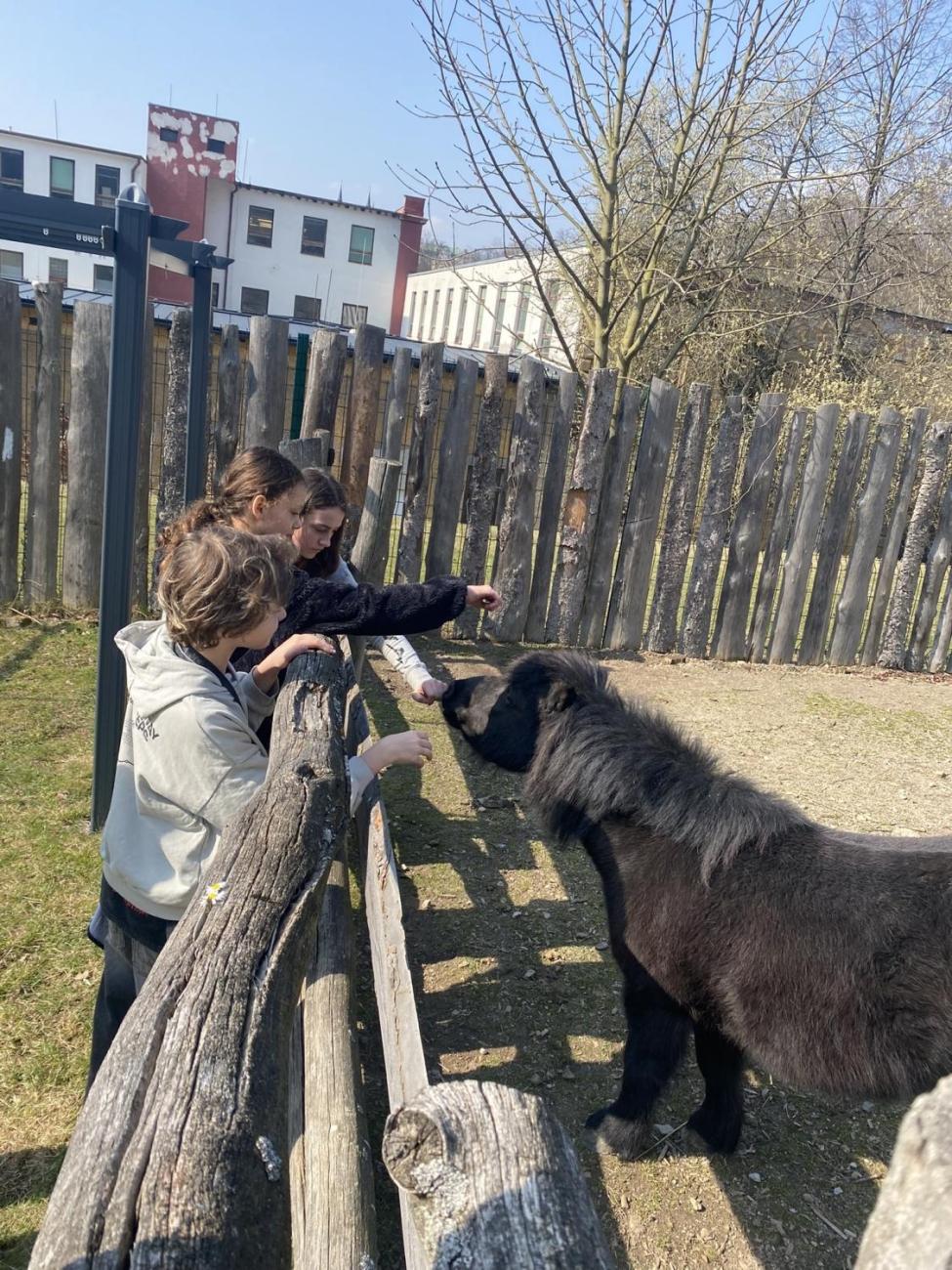 Návštěva 5.C v ZOO Jihlava