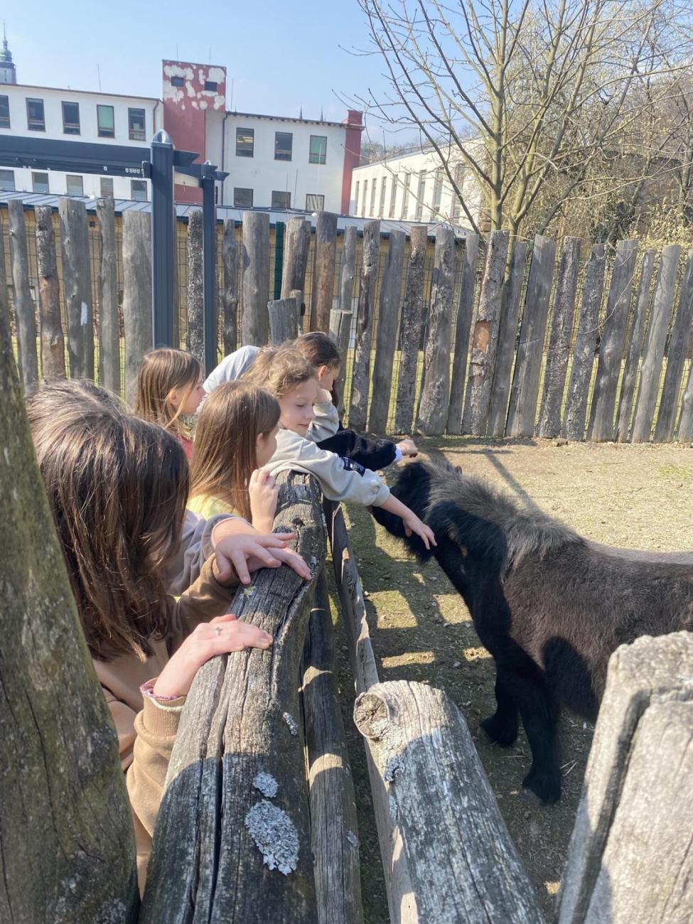 Návštěva 5.C v ZOO Jihlava