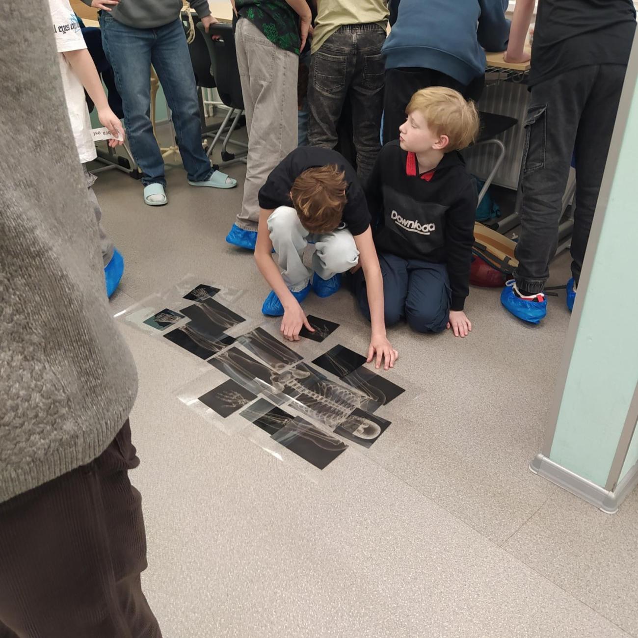 Projekt "Lidské tělo" škola Farmeko  5.B