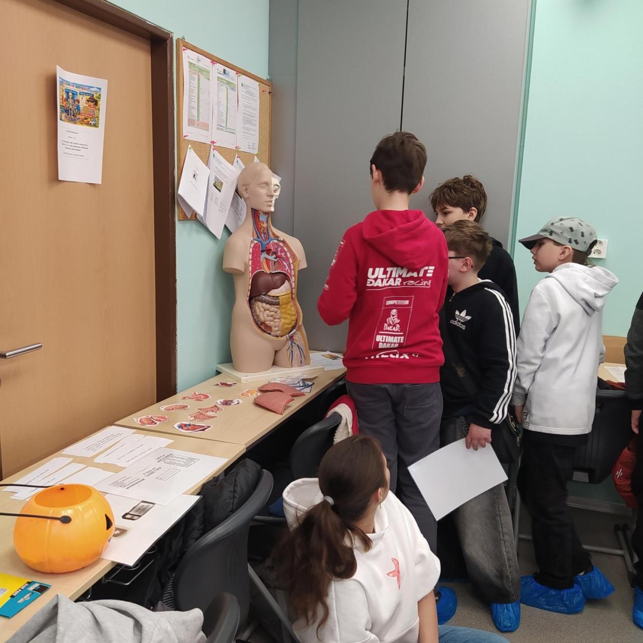 Projekt "Lidské tělo" škola Farmeko  5.B