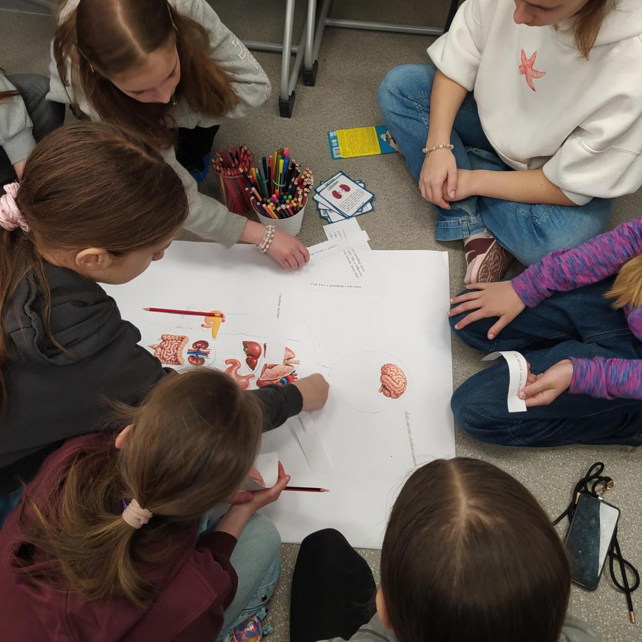 Projekt "Lidské tělo" škola Farmeko  5.B