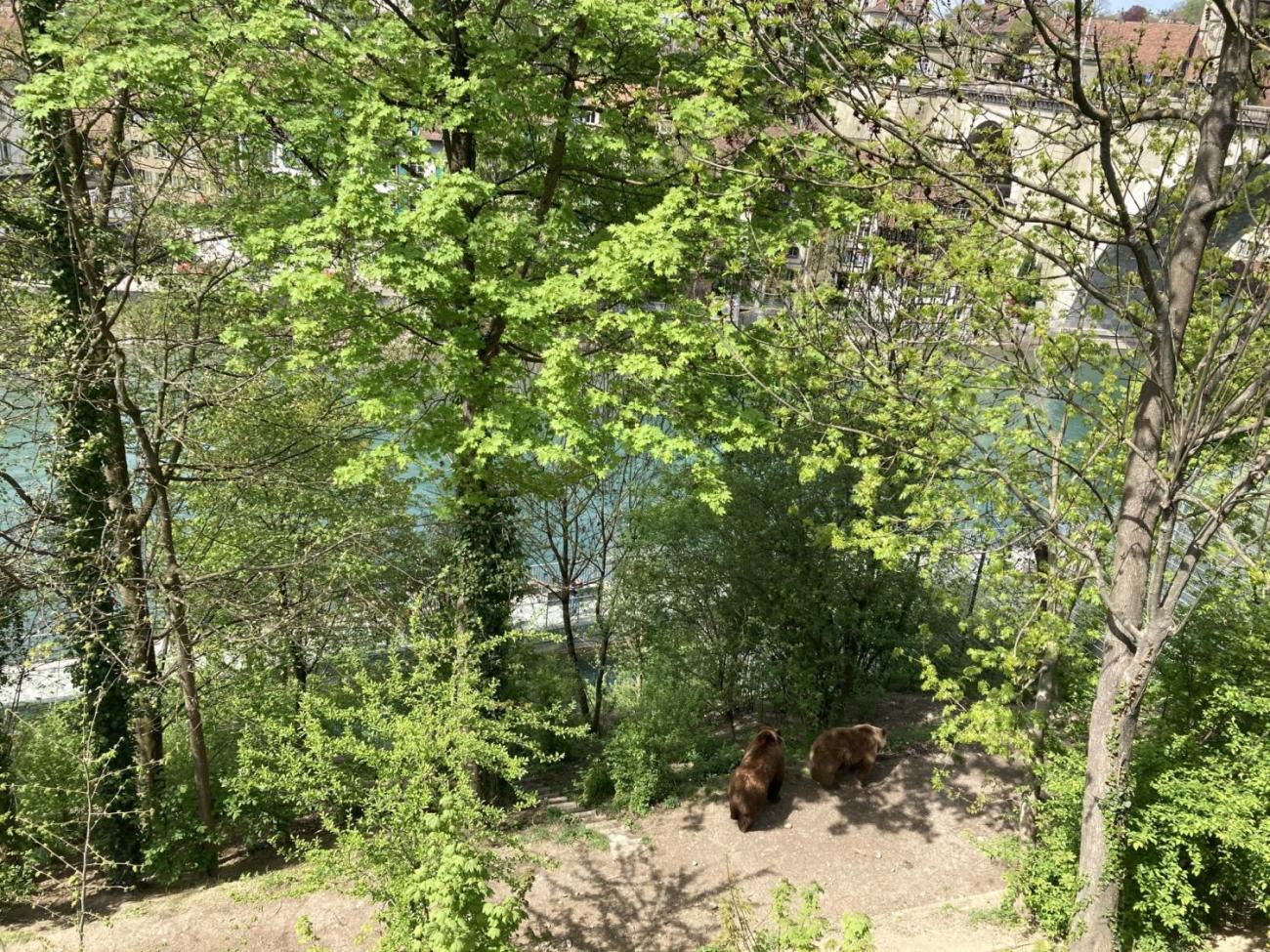 In der Schweiz/ Ve Švýcarsku