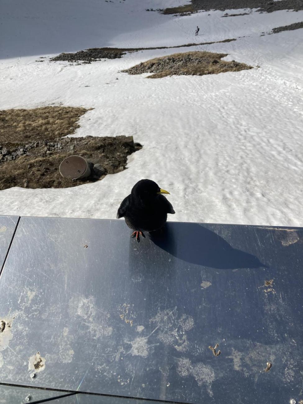 In der Schweiz/ Ve Švýcarsku