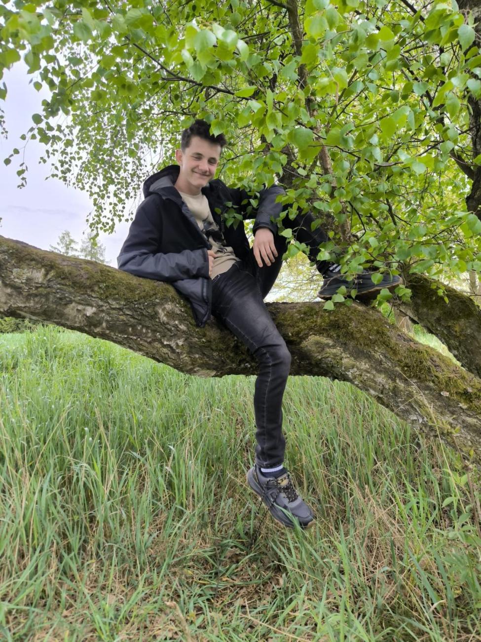 (NE)může za to kůrovec