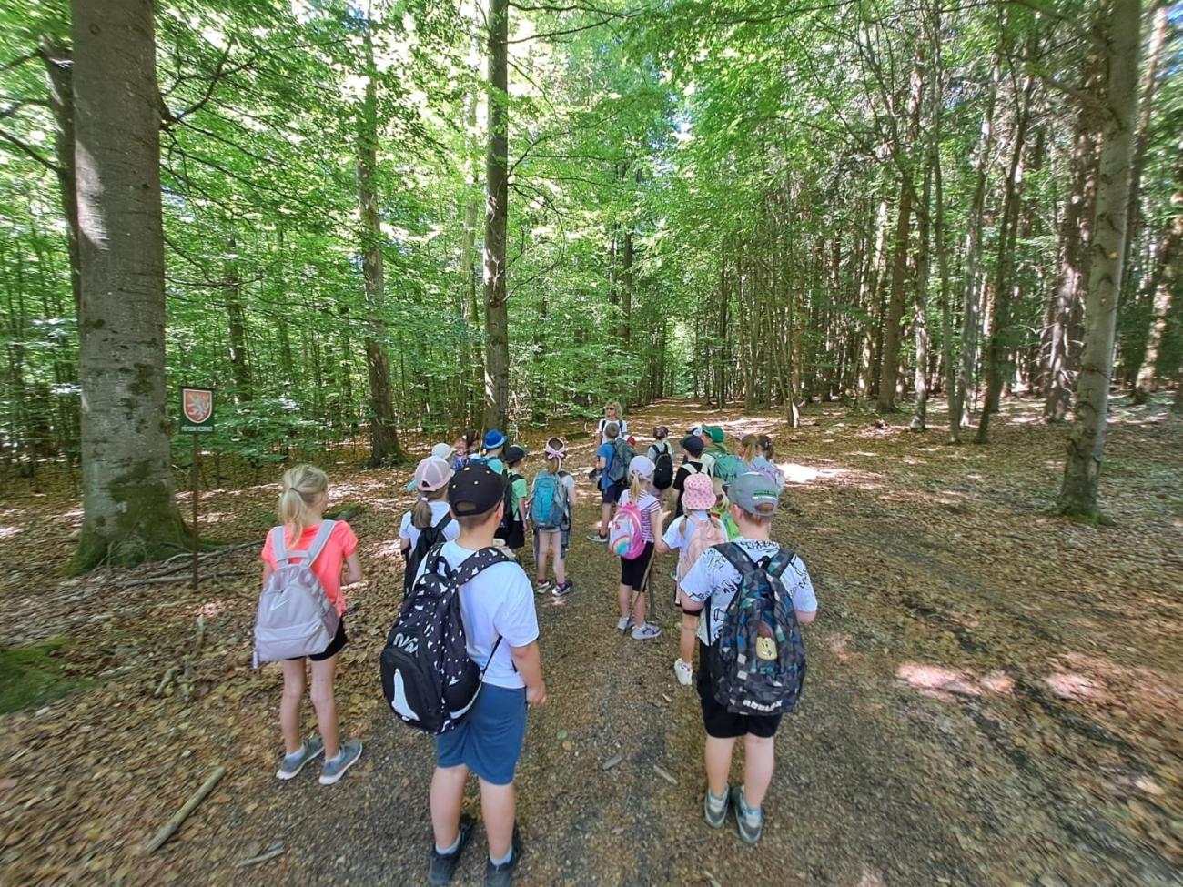Výlet 2. C na hrad Roštejn