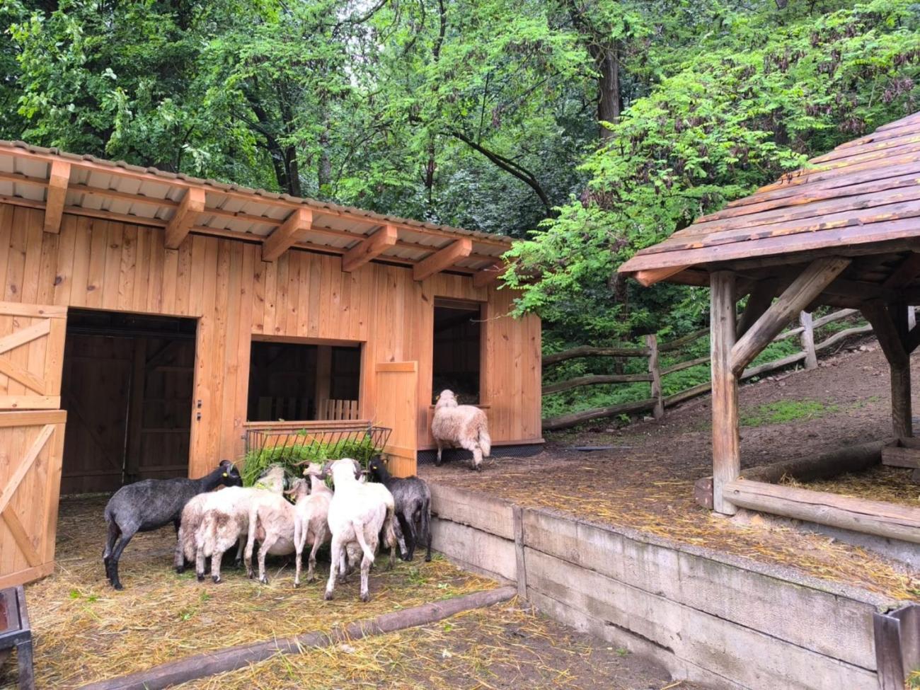 Návštěva Zoo Jihlava – program „Když jsem já sloužil“  1.A